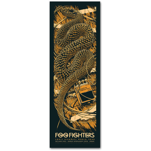 Foo Fighters limited edition screenprint (Hobart, 2015) by Ken