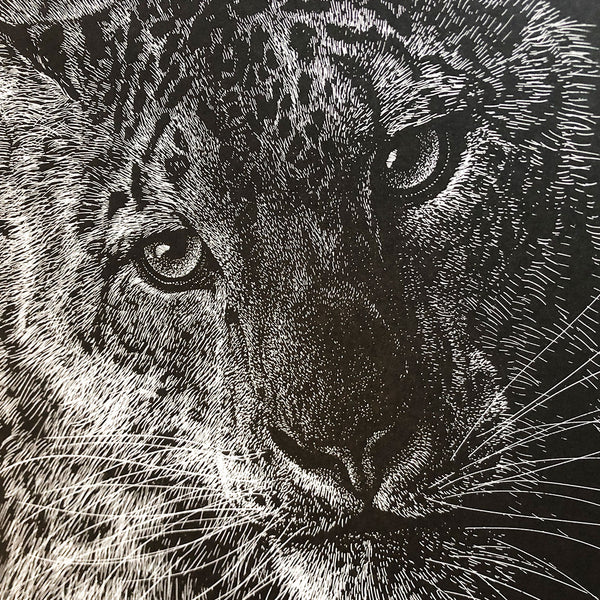 Screenprint "Snow Leopard" art print by artist Phillip Janta French