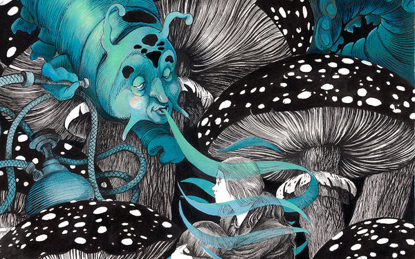 19.02.2026 | Daria Schmitt — “Le Conseil de la Chenille” (Édition signée)