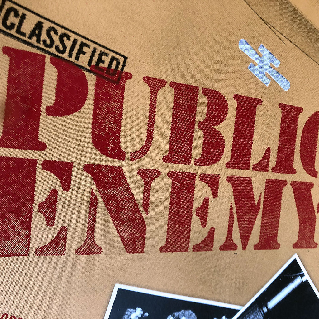 Public Enemy (Seattle 2010)