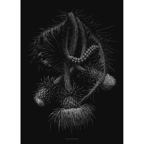 The art of Phillip Janta