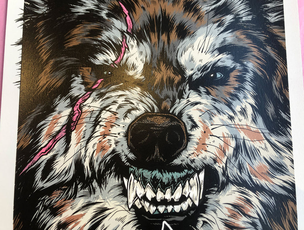 Eagles Of Death Metal (Melbourne, 2016)