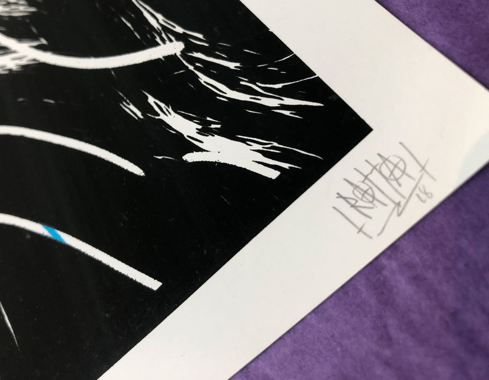 Foo Fighters/Queens of the Stone Age (Sao Paulo 2018)