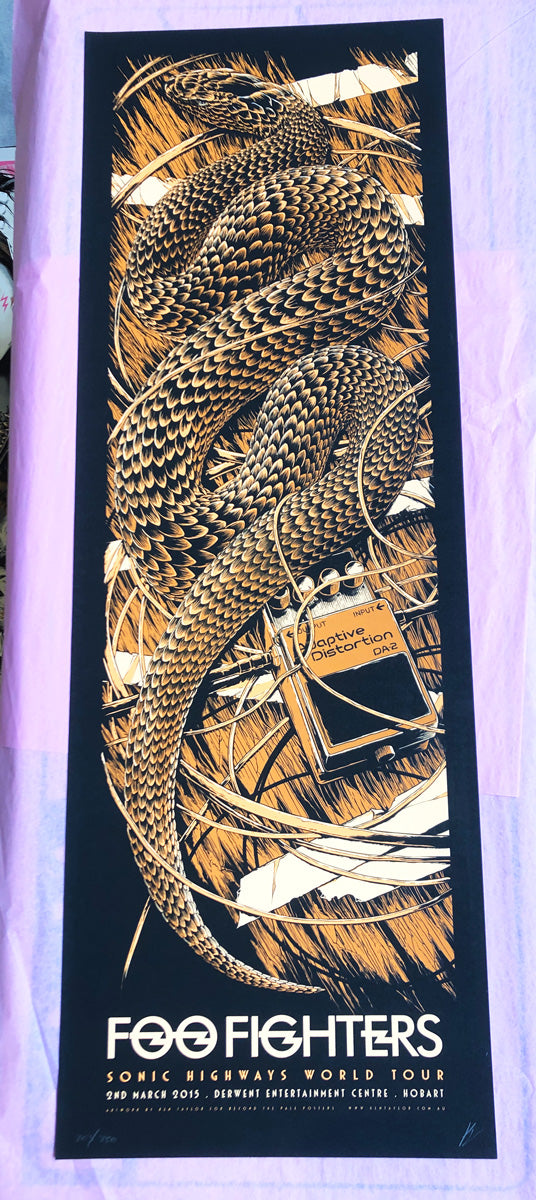 Foo Fighters limited edition screenprint (Hobart, 2015) by Ken