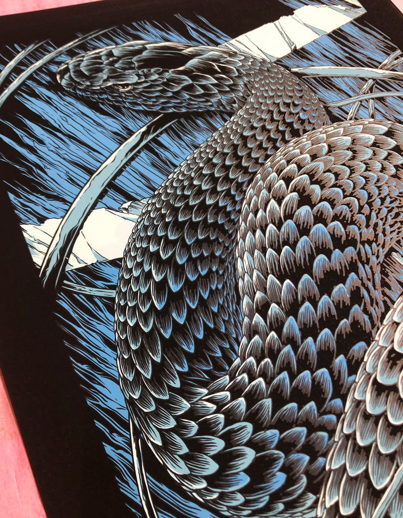 Foo Fighters (Sydney 2015)