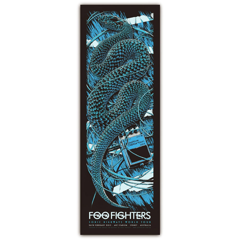 Foo Fighters (Sydney 2015)