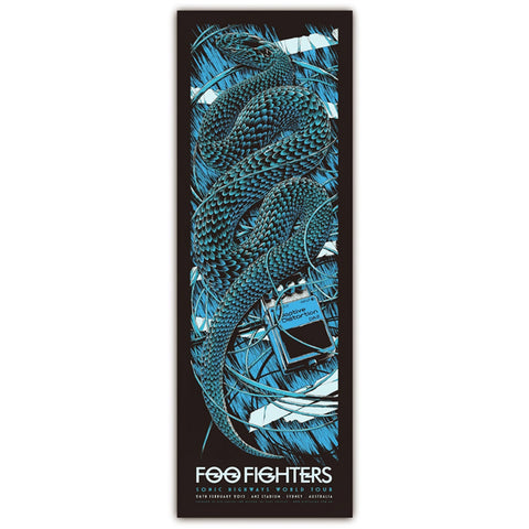 Foo Fighters (Sydney 2015)