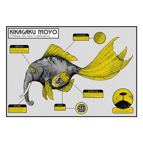 Kikagaku Moyo (Paris 2022)