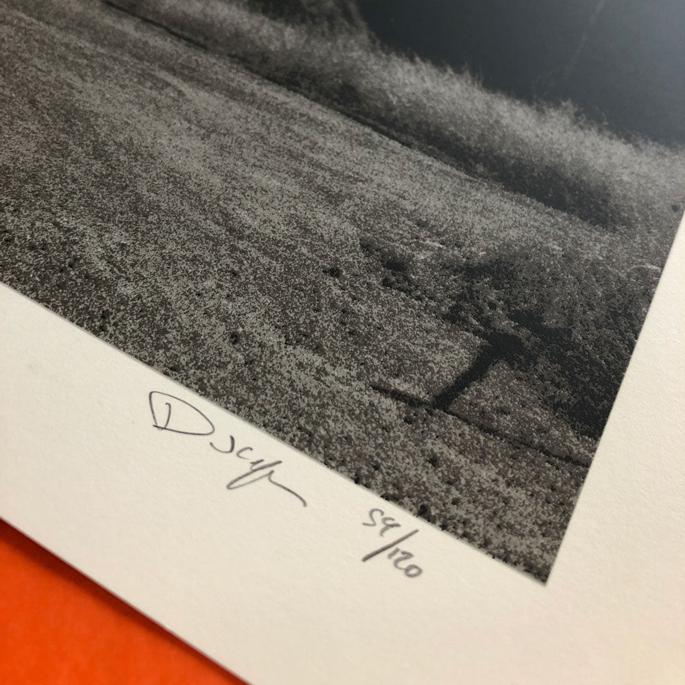 Swans (Barcelone 2017)